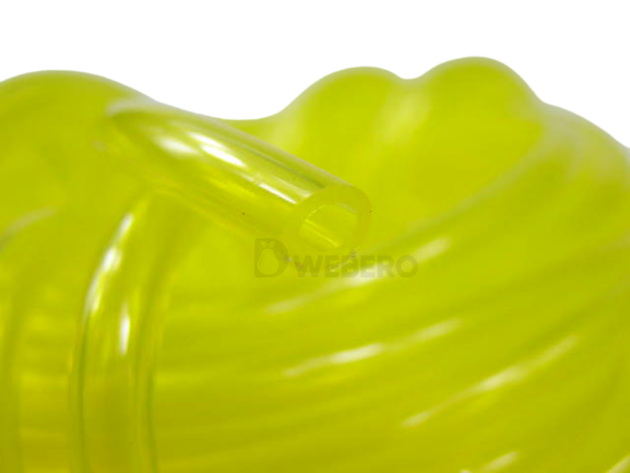 P1010937-removebg-preview